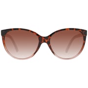 Skechers SE600452F55 Dark Havana/Brown Women Sunglasses