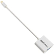 Honeywell Mini Display To HDMI Adapter White price in Bahrain, Buy