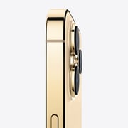 iPhone 13 Pro Max 512GB Gold (FaceTime - International Specs) iPhone 13 Pro Max 512GB Gold (FaceTime - International Specs)