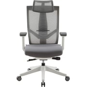 Navodesk Aero Chair Ergonomic Design Premium Office & Computer Chair With Multi-adjustable Features By Navodesk Light Gray