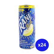 Rani Guava Fruit Drink 240ml Pack Of 24 Rani Guava Fruit Drink 240ml Pack Of 24