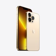 iPhone 13 Pro 1TB Gold (FaceTime - International Specs)