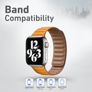 Promate Genuine Leather Band Replacement with Magnetic Lock for Apple Watch 42/44mm, Maglet-44 Clf.P Promate Genuine Leather Band Replacement with Magnetic Lock for Apple Watch 42/44mm, Maglet-44 Clf.P