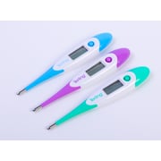 DIGITAL THERMOMETER DIGITAL THERMOMETER