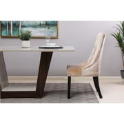 Pan Emirates Coyoto Dining Chair041AMY2400005