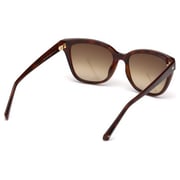 Swarovski SK0175-52F-55 Woman's Sunglass Swarovski SK0175-52F-55 Woman's Sunglass