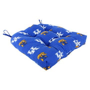 College Covers Kentucky Wildcats Indoor/Outdoor Seat Patio D Cushion, 20