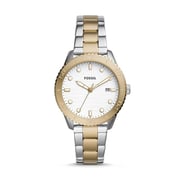 Fossil dayle online