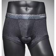 Lashevan All Mesh Underwear Prism Charcoal 110 (2XL) Lashevan All Mesh Underwear Prism Charcoal 110 (2XL)