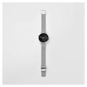 Skagen Anita Silver Mesh Women Watch SKW2673