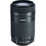 Canon EF-S 55-250mm F/4-5.6 IS STM Lens Canon EF-S 55-250mm F/4-5.6 IS STM Lens