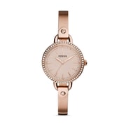 Fossil Analogical Bq3163