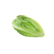 Organic Lettuce Uae 500g Organic Lettuce Uae 500g