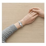Skagen Leonora Silver Mesh Women Watch 456SSS