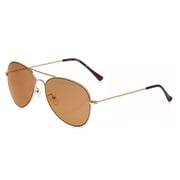 Kenneth Cole Shiny Gold / Brown Metal Men's Sunglasses