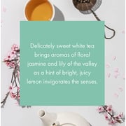 White Tea & Fig Monthly Fragrance Cartridge For Scentair Whisper Home White Tea & Fig Monthly Fragrance Cartridge For Scentair Whisper Home