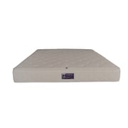Buy Intercoil Therapedic Bonnell Spring Full Mattress Backsense