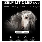 LG OLED evo TV 65 Inch C2 series, Cinema Screen Design 4K Cinema HDR webOS22 with ThinQ AI Pixel Dimming - OLED65C26LA LG OLED evo TV 65 Inch C2 series, Cinema Screen Design 4K Cinema HDR webOS22 with ThinQ AI Pixel Dimming - OLED65C26LA