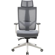 Navodesk Aero Mesh Ergonomic Chair, Premium Office & Computer Chair With Multi-adjustable Features Grey Navodesk Aero Mesh Ergonomic Chair, Premium Office & Computer Chair With Multi-adjustable Features Grey