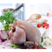 Fresh Slaughtered Chicken - skinless - Whole