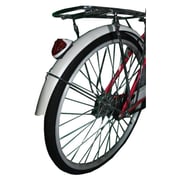 Raptor RT-32 Lady Bike 24