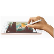 iPad (2019) WiFi 32GB 10.2inch Space Grey with FaceTime iPad (2019) WiFi 32GB 10.2inch Space Grey with FaceTime