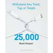 Anker USB Type C To Lightning Cable 0.9m White