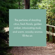 A Walk In The Woods Monthly Fragrance Cartridge For Scentair Whisper Home A Walk In The Woods Monthly Fragrance Cartridge For Scentair Whisper Home