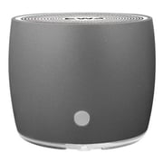 EWA A103 Bluetooth Portable Speaker Grey