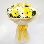 White & Yellow Gerbera Bouquet