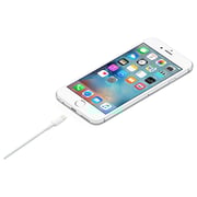 Apple Lightning To USB Cable 0.5M White Apple Lightning To USB Cable 0.5M White