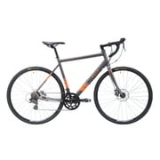 Buy Reid Cycles Granite 1.0 Grey 55cm L Online in UAE Sharaf DG