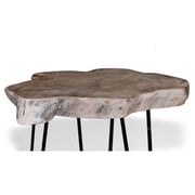 Pan Emirates Baron End Table