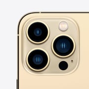 iPhone 13 Pro 1TB Gold (FaceTime - Japan Specs)