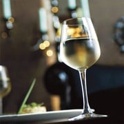 Ocean Madison White Wine Glass 2pc Set