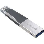 Sandisk SDIX40N064GGN6NN IXpand Mini Flash Drive 64GB