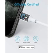 Anker USB Type C To Lightning Cable 0.9m White