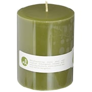 Northern Lights Candles Anjou Pear & Lemongrass Fragrance Palette Pillar Candle, 3 X 4 Northern Lights Candles Anjou Pear & Lemongrass Fragrance Palette Pillar Candle, 3 X 4