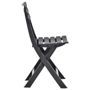 vidaXL Folding Garden Chairs 2 pcs Plastic Anthracite vidaXL Folding Garden Chairs 2 pcs Plastic Anthracite
