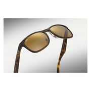 RayBan RB4263-894/A3-55 Brown/Tortoise Nylon Polarized Men Sunglasses RayBan RB4263-894/A3-55 Brown/Tortoise Nylon Polarized Men Sunglasses