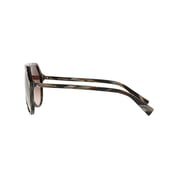 Dolce And Gabbana Brown Plastic Unisex DG4341-569/13-59 Sunglasses Dolce And Gabbana Brown Plastic Unisex DG4341-569/13-59 Sunglasses