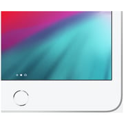 iPad mini (2019) WiFi 256GB 7.9inch Silver
