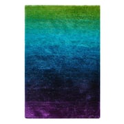 Shaggy Modern Design Carpet Purple/Blue/Green