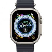 apple titanium case