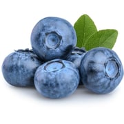 Fresh Fruits Holland/USA Blueberry 125gm