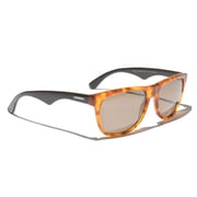 Carrera Wayfarer Unisex Sunglasses - CARRERA6003BEK6J