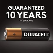 Duracell Battery AA 2 Pack Monet