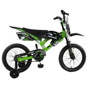 Kawasaki Moto 16 Kawasaki Moto 16