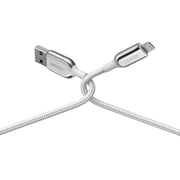 Anker Powerline+ III USB-A To Lightning Cable 3m Silver