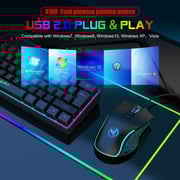 HXSJ X100 Wired Gaming Mouse Ergonomic Gaming Office Mouse 7-color Breathing Light Effect 4-gear Adjustable DPI Black HXSJ X100 Wired Gaming Mouse Ergonomic Gaming Office Mouse 7-color Breathing Light Effect 4-gear Adjustable DPI Black